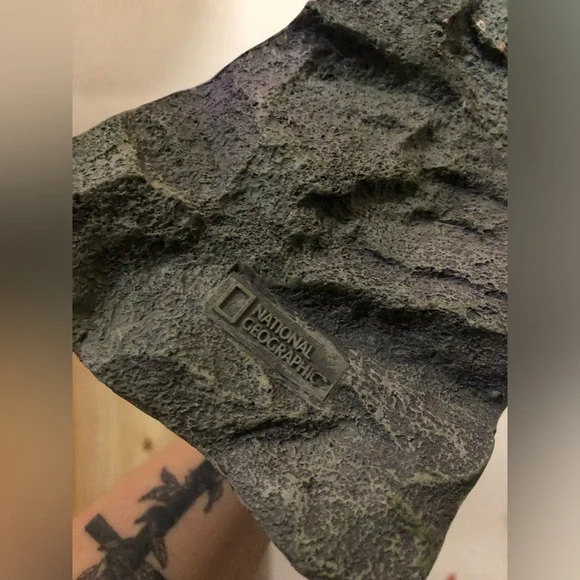 Lizard Tunnel - Picture 4 of 4